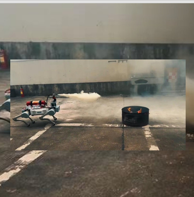 कदम/अवरोध की ऊंचाई 20 सेमी कानून प्रवर्तन के लिए दंगा रोधी पुलिस उपकरण